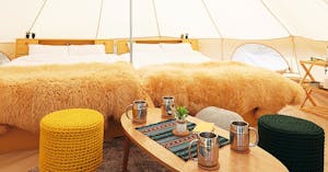 温楽ノ森 画像:3位