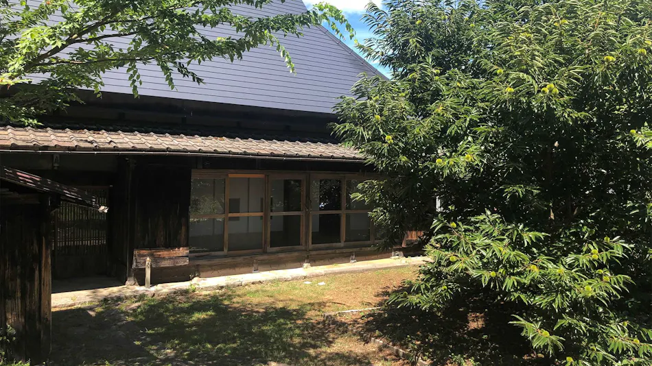 Forest Old House Karori