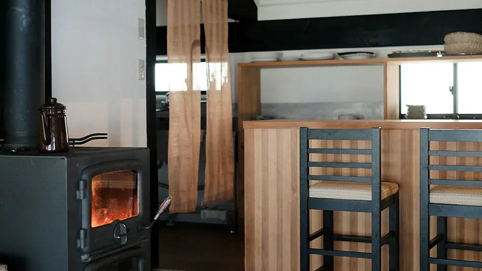 Forest Old House Karori