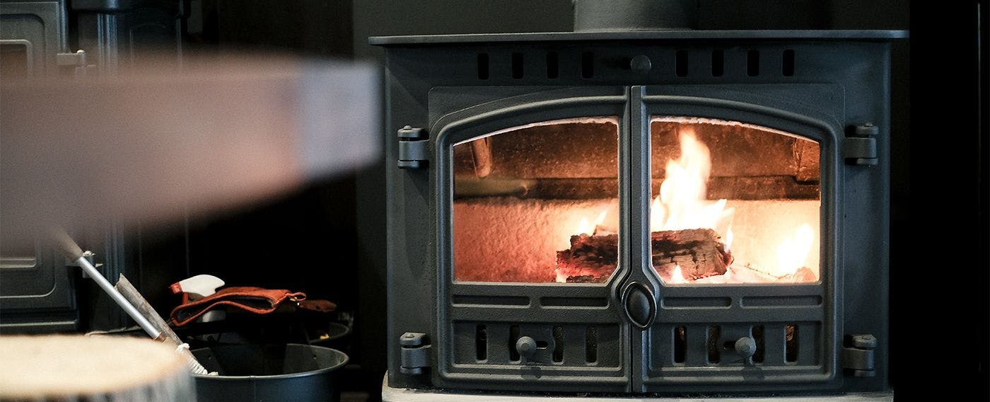 Forest Old House Karori