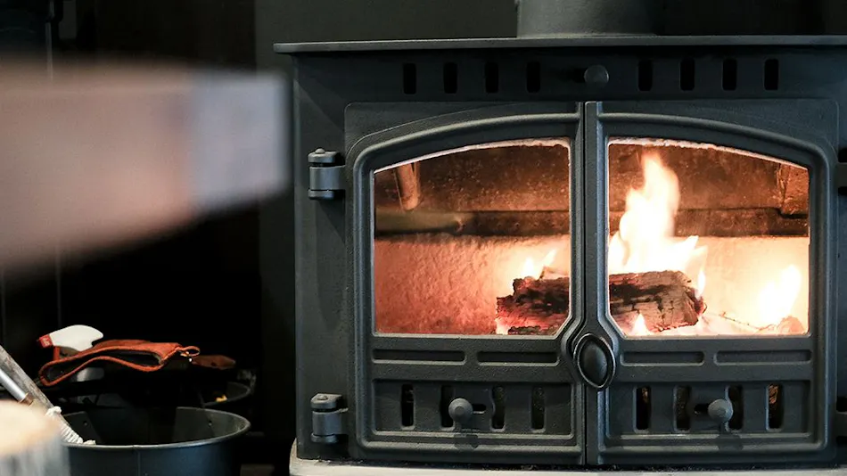 Forest Old House Karori