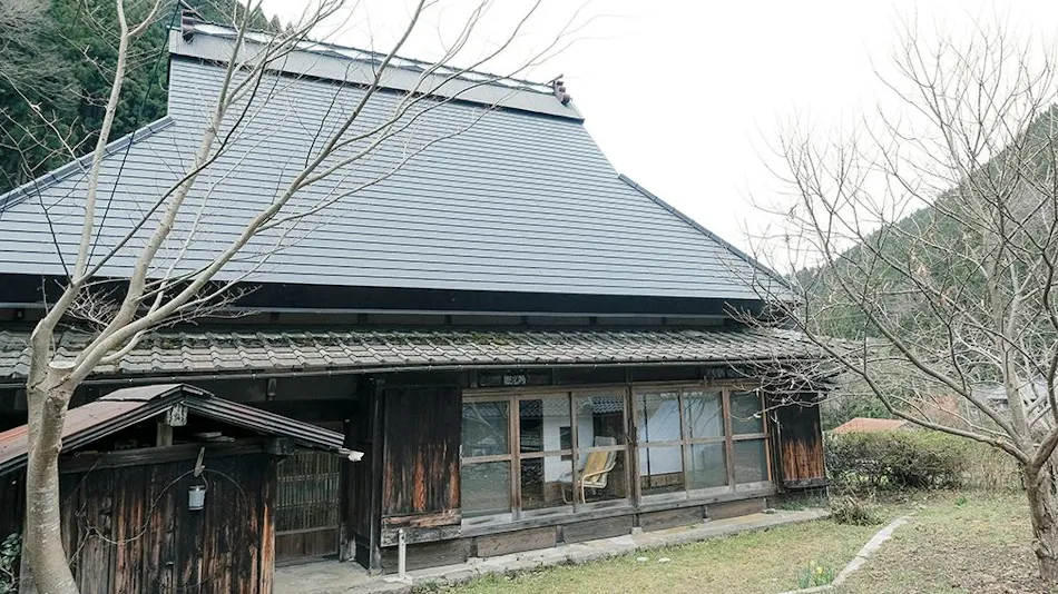Forest Old House Karori