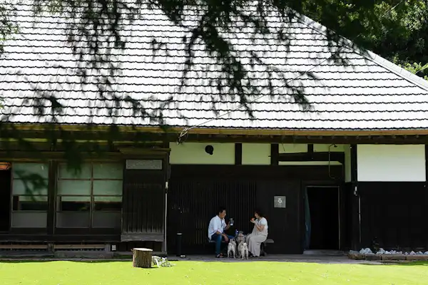 สวนสุนัข