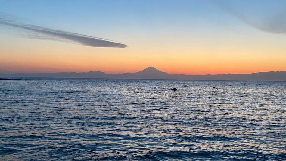 Nowhere but Sajima