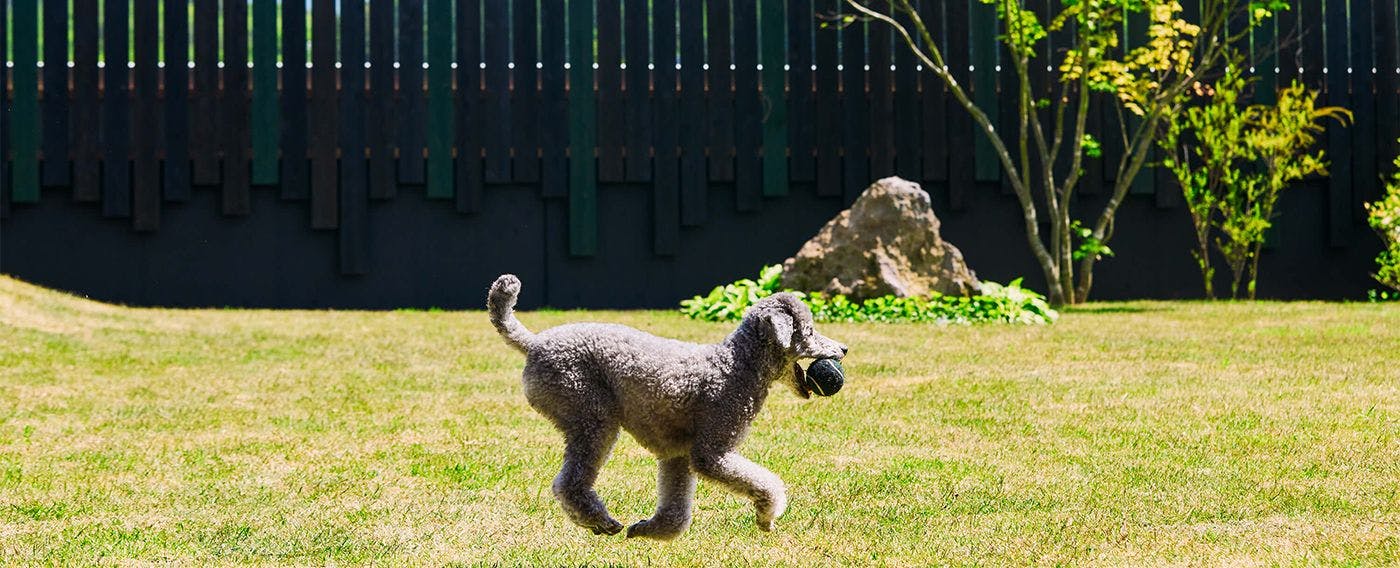 プライベートガーデン
