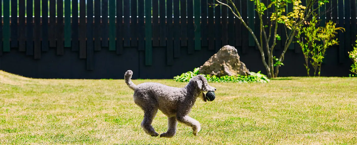 プライベートガーデン