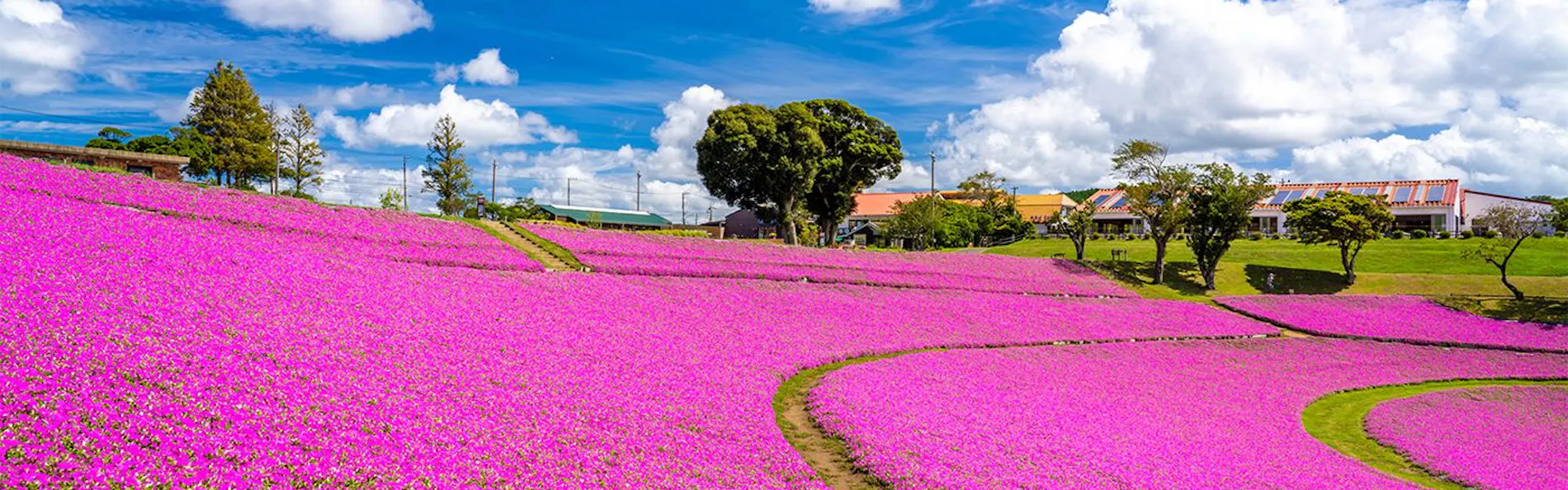 ビーチテラス房総