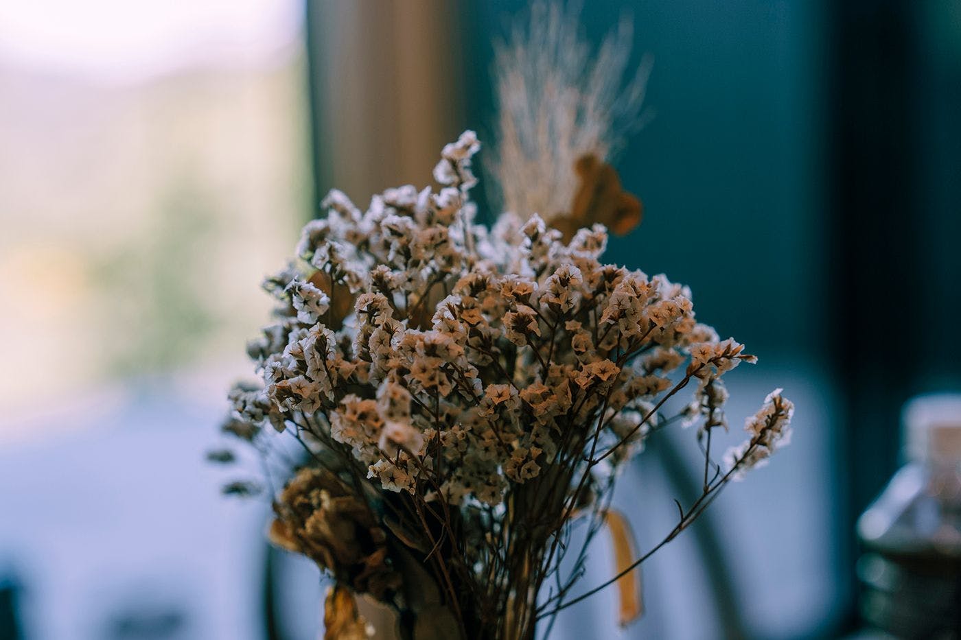 ドライフラワー