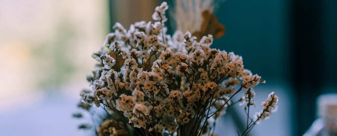 ドライフラワー