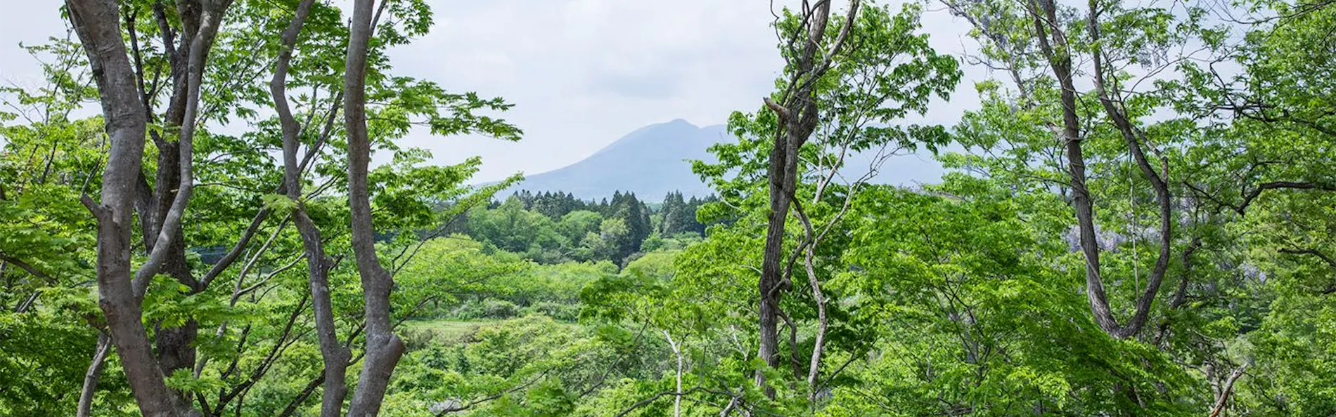COCO VILLA 那須高原