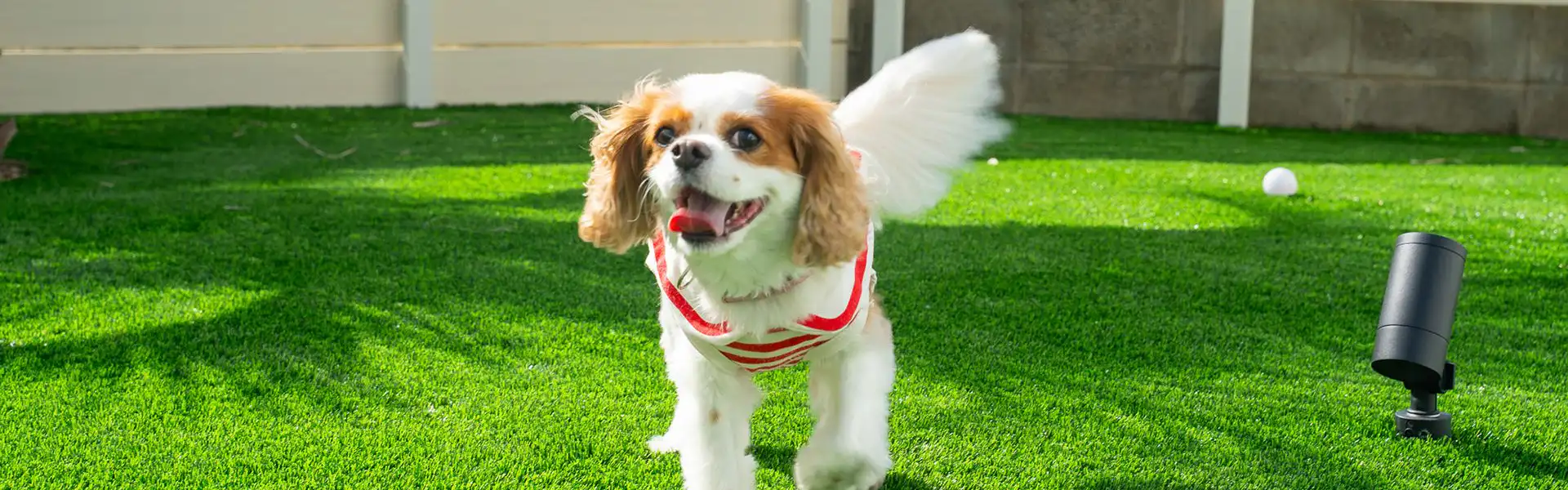 ドッグフレンドリー