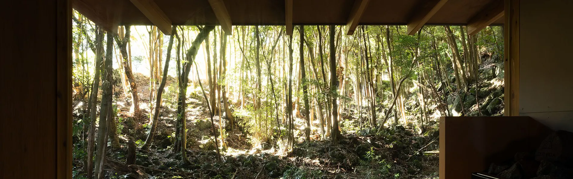 COCO VILLA 伊豆赤沢