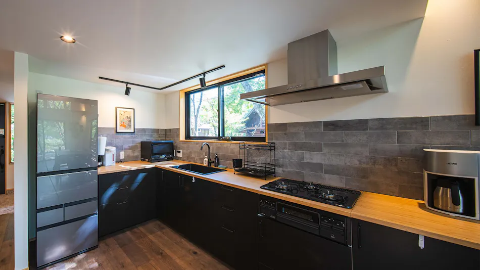 Hakuba Aerial