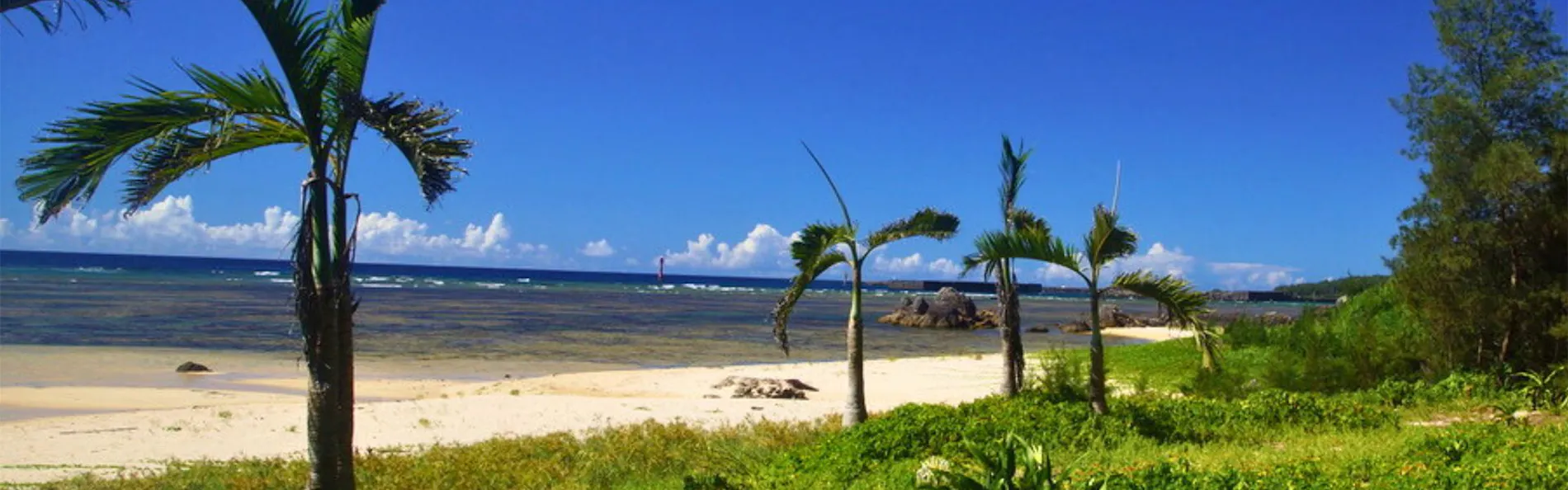 Private Villa The Beach AMAMI