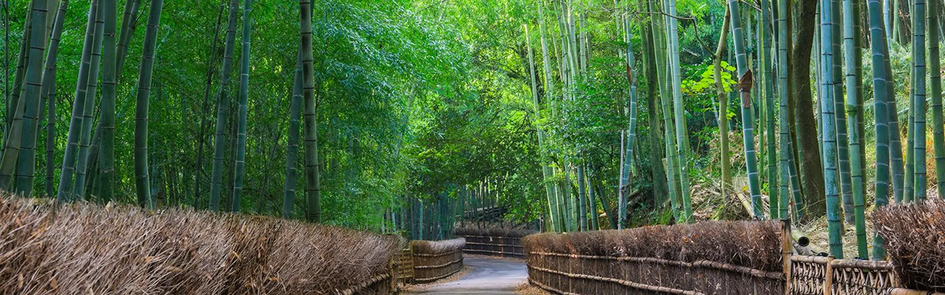 二条すみれ庵 〈一棟貸し町家〉