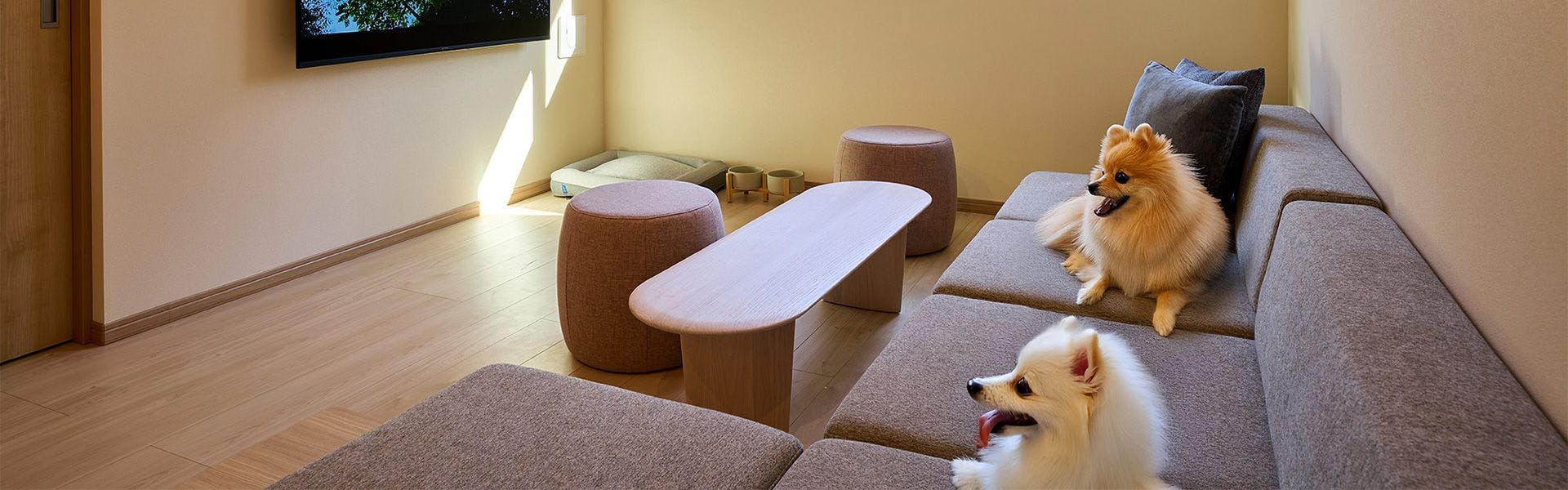 客室（犬）