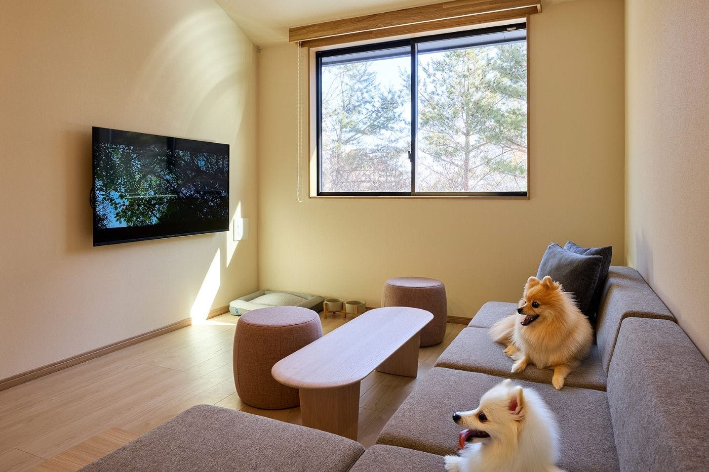 Rakuten STAY VILLA Kusatsu Onsen