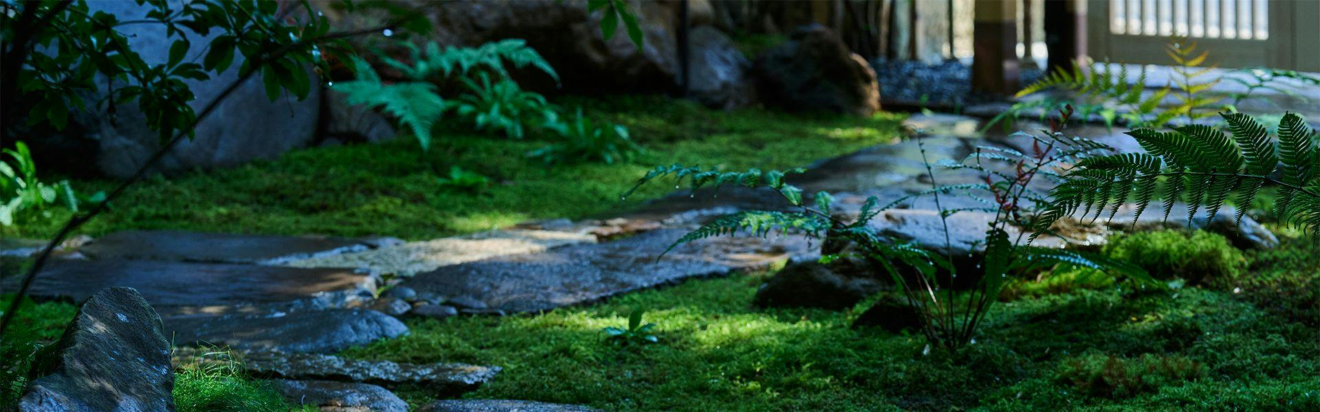 TRANQUIL Ambient Retreat