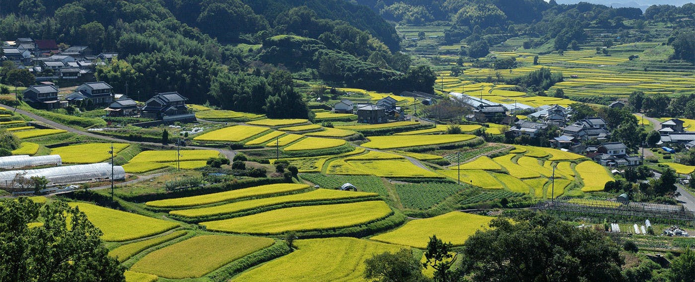 観光スポットを見る