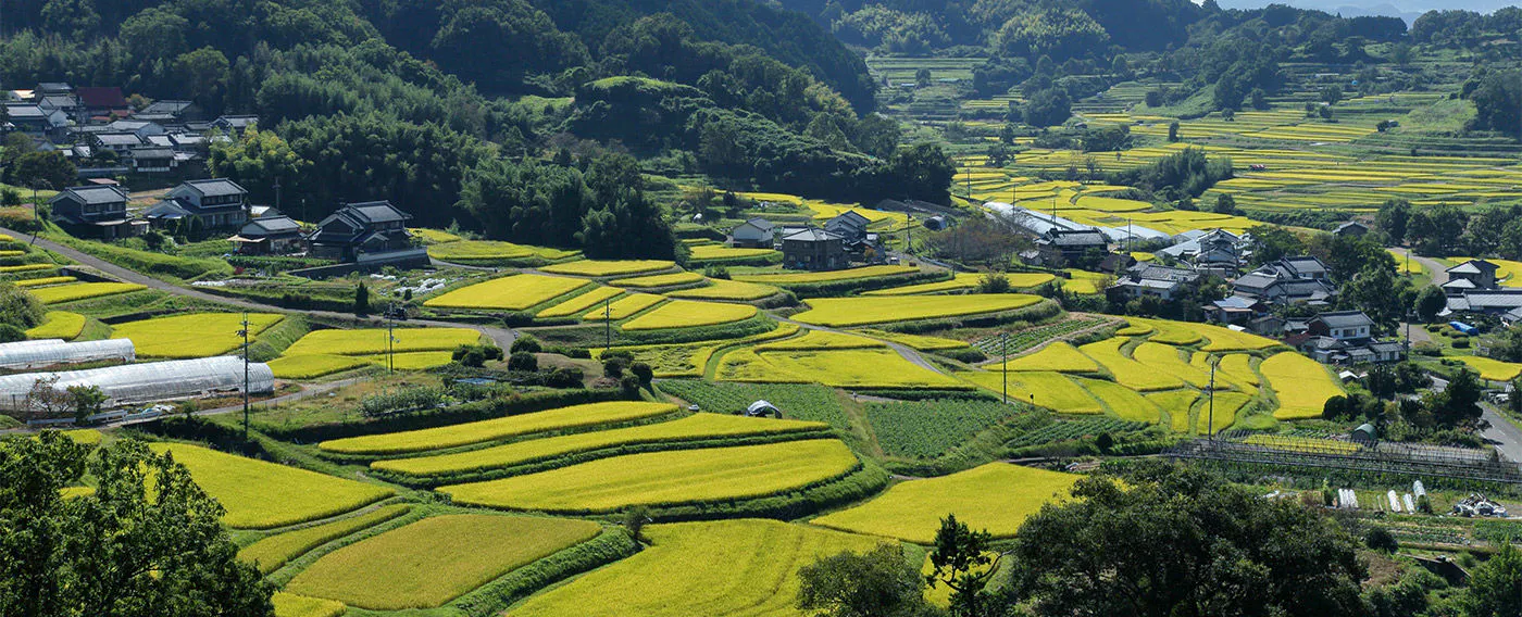 観光スポットを見る