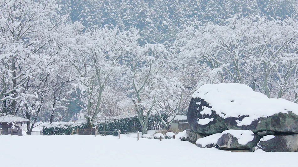 Asuka Healing Village Shinra-juku