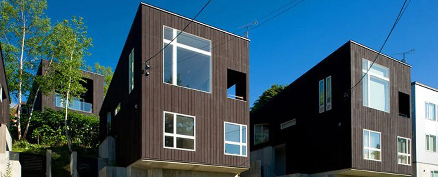 รูปลักษณ์ภายนอก