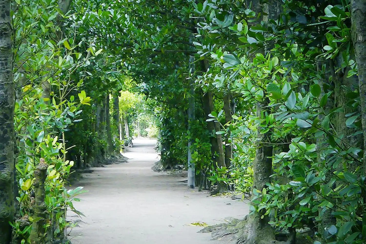 บริเวณโดยรอบ