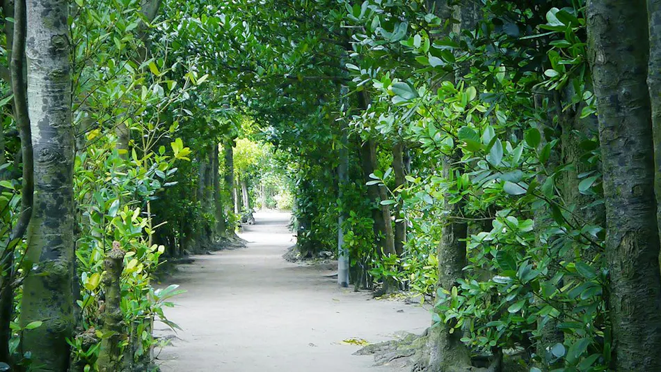 Birth ― the suite ―