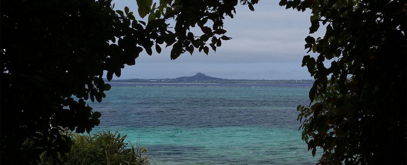 森と海とが出逢う場所