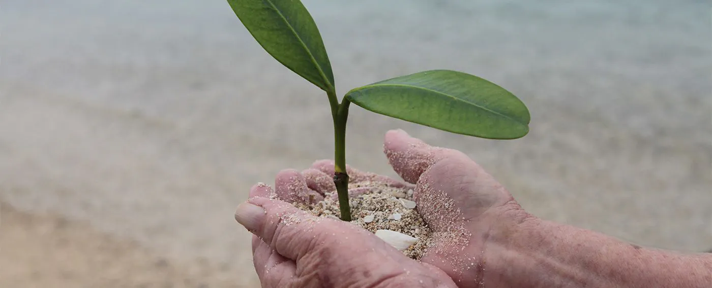 たゆたう時の贈り物