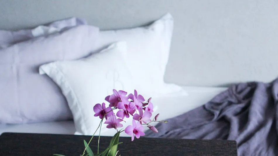 Birth ― the suite ―