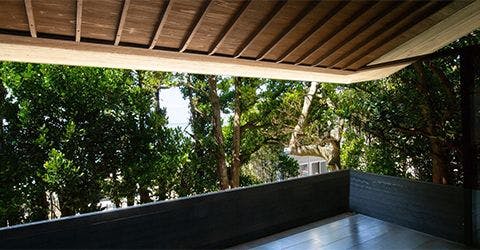 Birth ― the suite ―