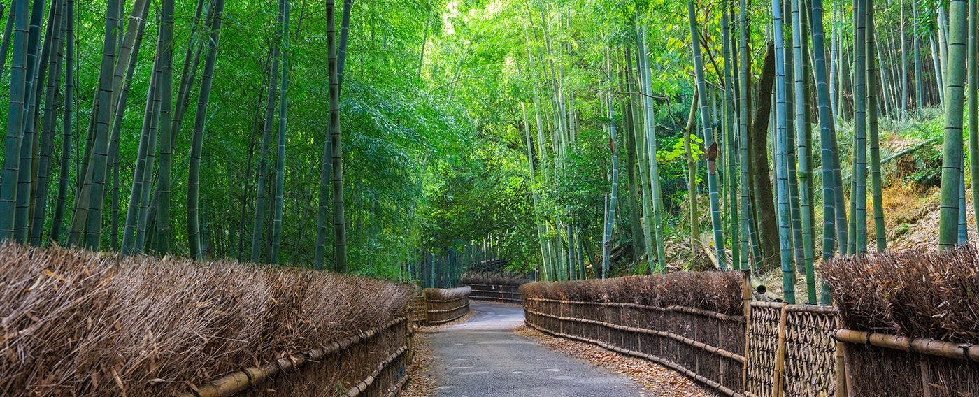 東山三条 京のやど 優り草 〈一棟貸し町家〉