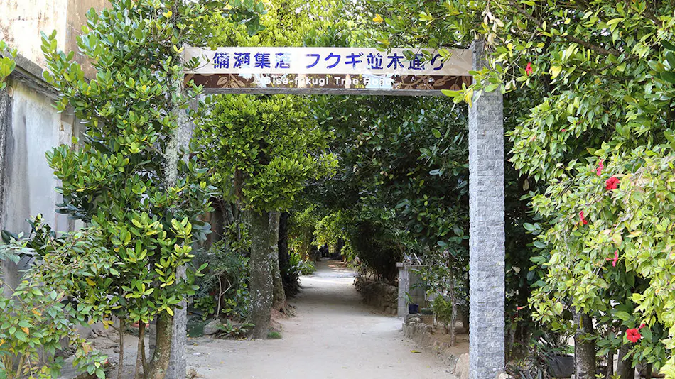 Tabino Teitaku Okinawa Bise HOMANN CONCEPT