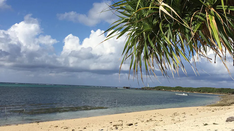 Tabino Teitaku Okinawa Bise HOMANN CONCEPT