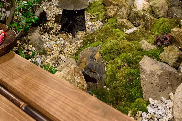 ลานกลาง