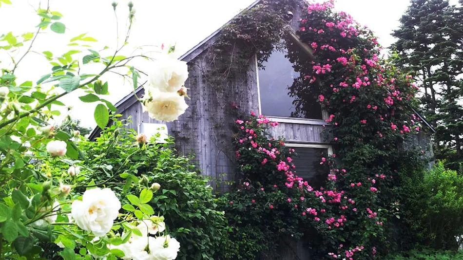 GARDEN SHED