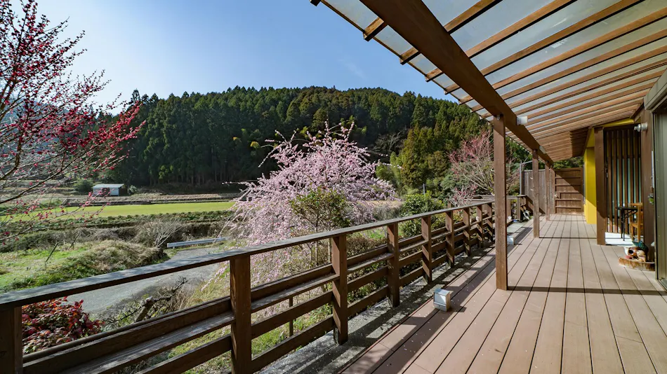 Ukihashi Kosho no Akari