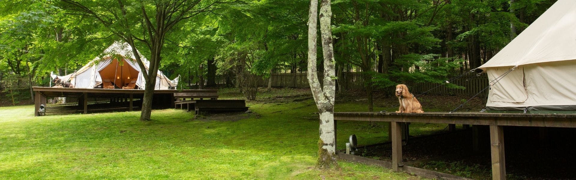 RITA’S RANCH 南軽井沢　～愛犬と過ごすテントの休日～