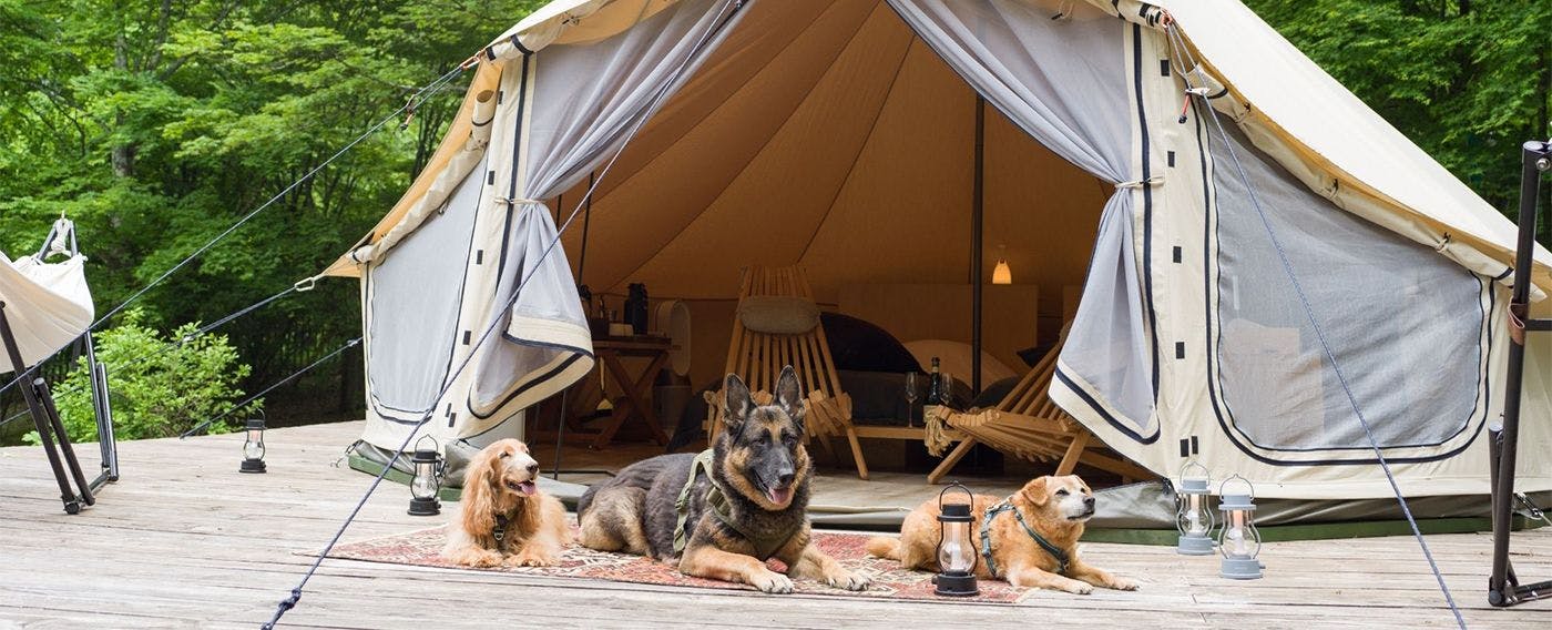 RITA'S RANCH Minami-Karuizawa ~A Tent Holiday with Your Beloved Dog~