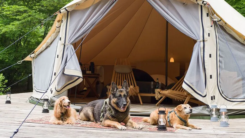 RITA'S RANCH Minami-Karuizawa ~A Tent Holiday with Your Beloved Dog~