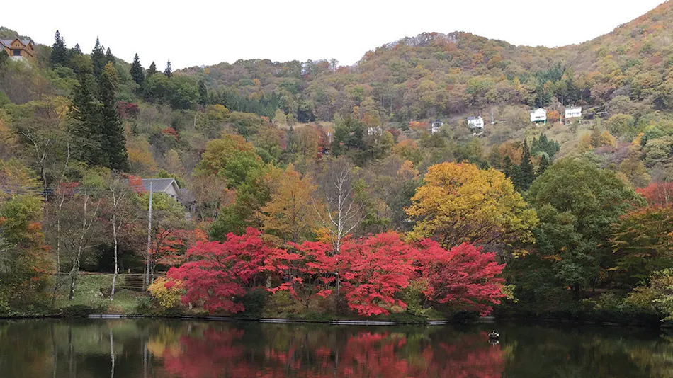RITA'S RANCH Minami-Karuizawa ~A Tent Holiday with Your Beloved Dog~