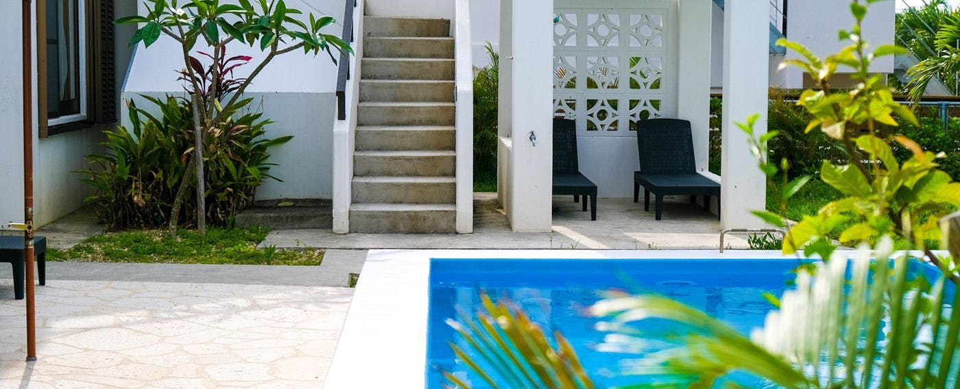 ท้องฟ้าที่เต็มไปด้วยดวงดาว