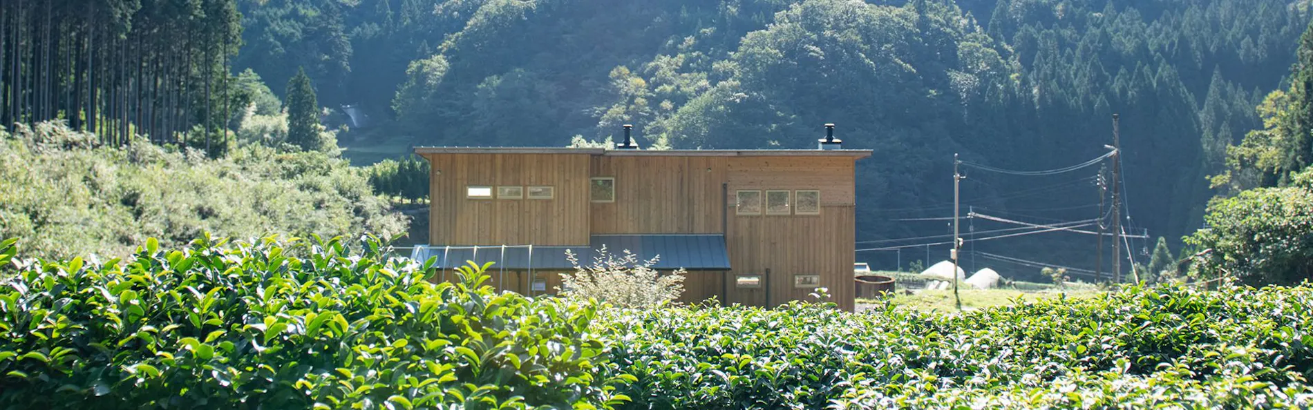 NIPPONIA 後川 天空農園