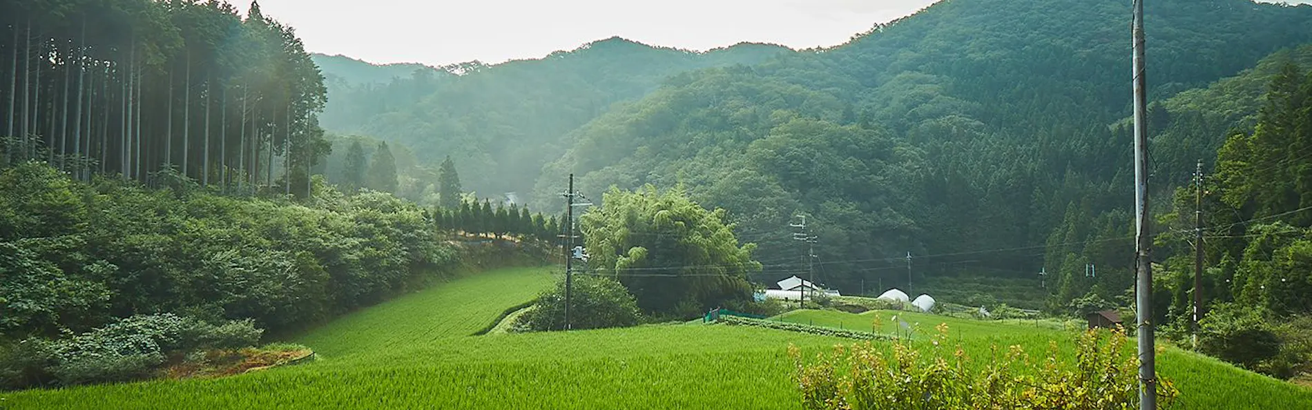 NIPPONIA 後川 天空農園