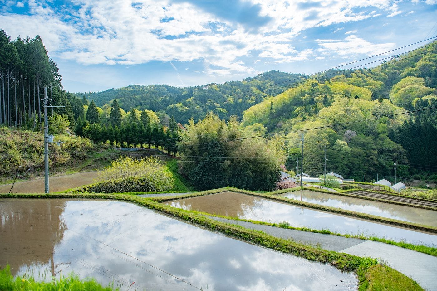 NIPPONIA　後川　天空農園