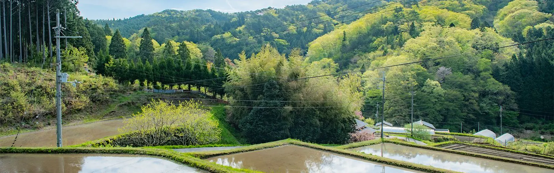 NIPPONIA 後川 天空農園