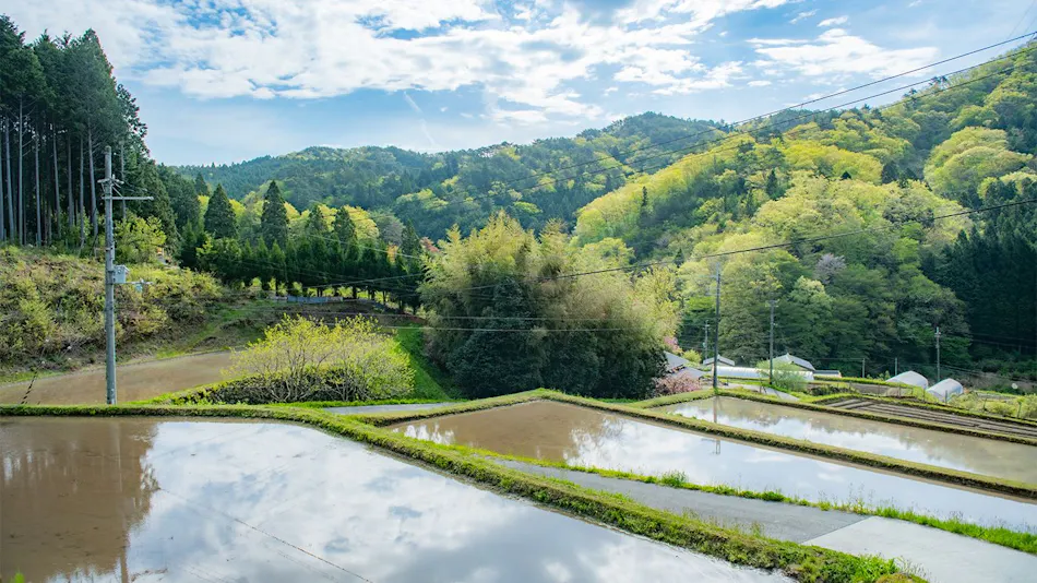NIPPONIA Shitsukawa Sky Farm