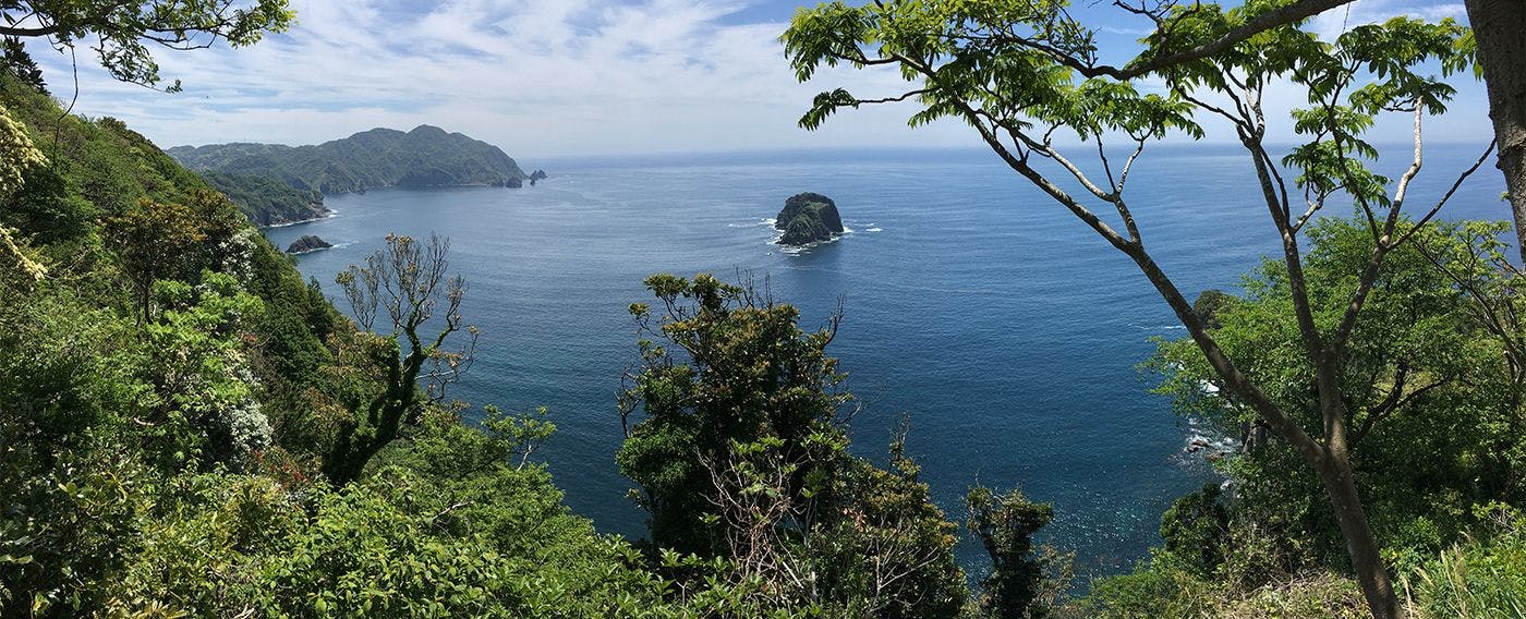 Izu Cliff House　国立公園内の秘境にある絶景・モダニズム建築