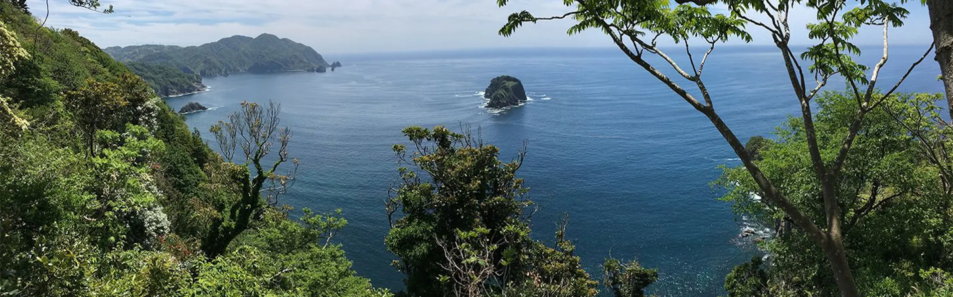 Izu Cliff House 国立公園内の秘境にある絶景・モダニズム建築